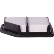 Engine Air Filter Premium Guard PA6171