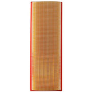 Engine Air Filter Premium Guard PA6318