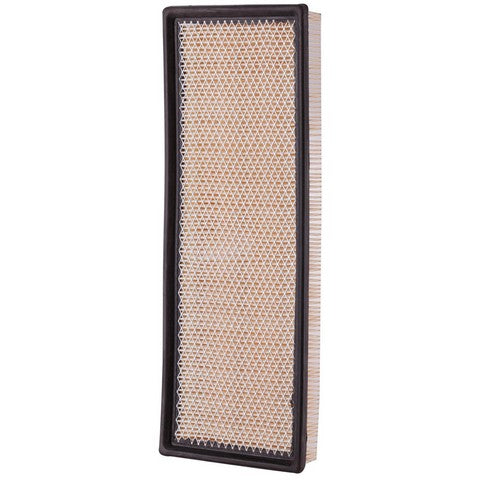 Engine Air Filter Premium Guard PA4858