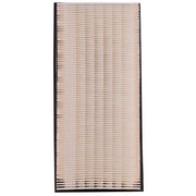 Engine Air Filter Premium Guard PA4859