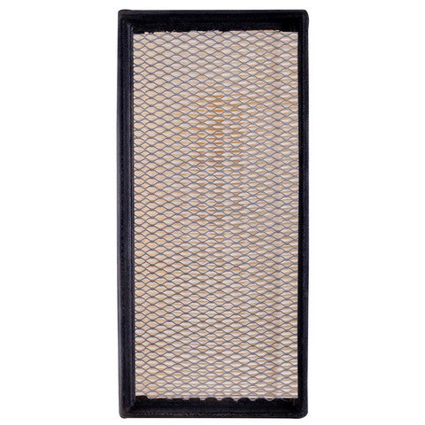 Engine Air Filter Premium Guard PA4859