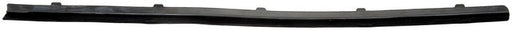 Door Belt Molding Dorman-Help 25850