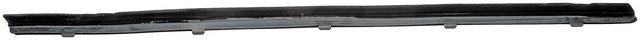 Door Belt Molding Dorman-Help 25851