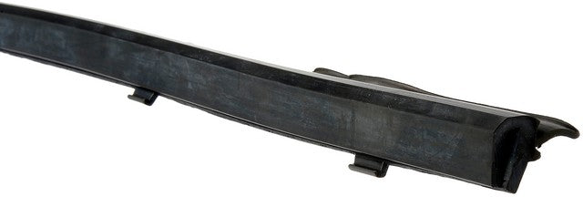 Door Belt Molding Dorman-Help 25851