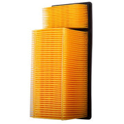 Engine Air Filter Premium Guard PA6109