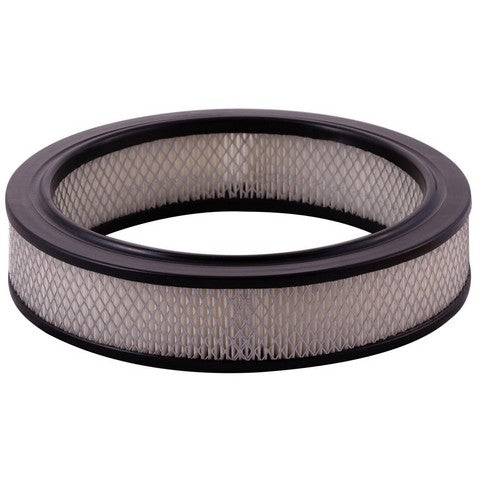 Engine Air Filter Premium Guard PA113