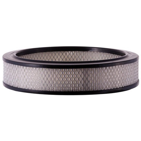 Engine Air Filter Premium Guard PA113