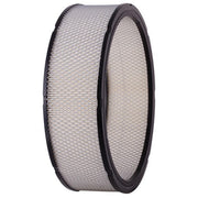 Engine Air Filter Premium Guard PA3181