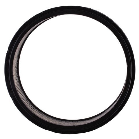 Engine Air Filter Premium Guard PA3181