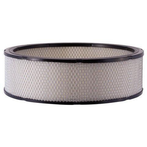 Engine Air Filter Premium Guard PA3181