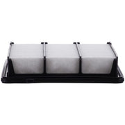 Engine Air Filter Premium Guard PA99293