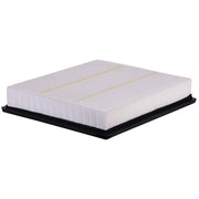 Engine Air Filter Premium Guard PA99595