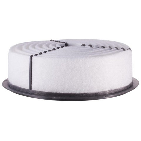 Engine Air Filter Premium Guard PA4361