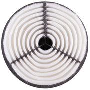 Engine Air Filter Premium Guard PA4361