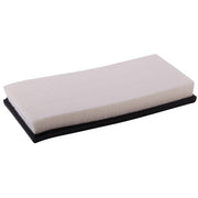 Engine Air Filter Premium Guard PA4378