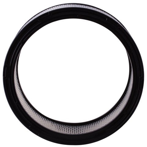 Engine Air Filter Premium Guard PA67