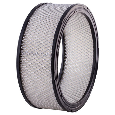 Engine Air Filter Premium Guard PA67