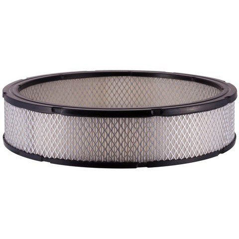 Engine Air Filter Premium Guard PA74
