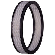Engine Air Filter Premium Guard PA831