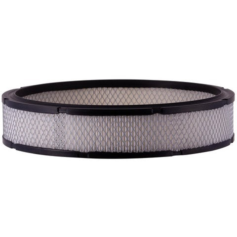Engine Air Filter Premium Guard PA831