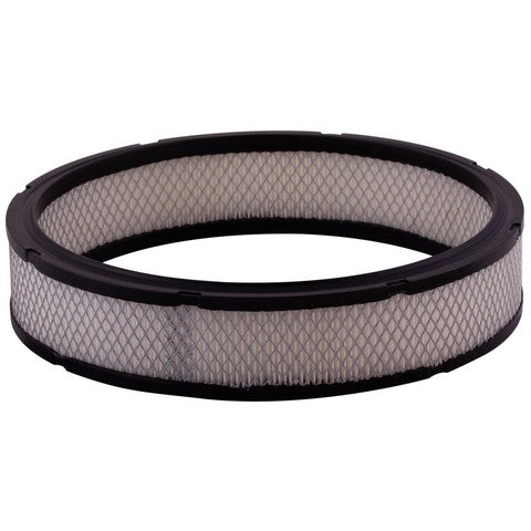 Engine Air Filter Premium Guard PA831