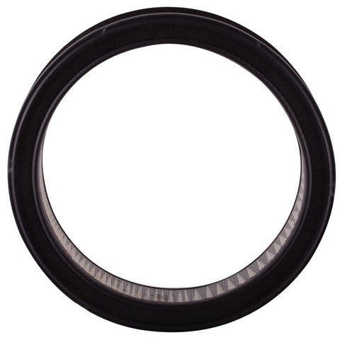 Engine Air Filter Premium Guard PA92