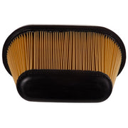 Engine Air Filter Premium Guard PA9967