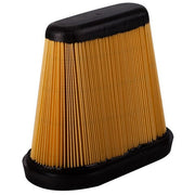 Engine Air Filter Premium Guard PA9967