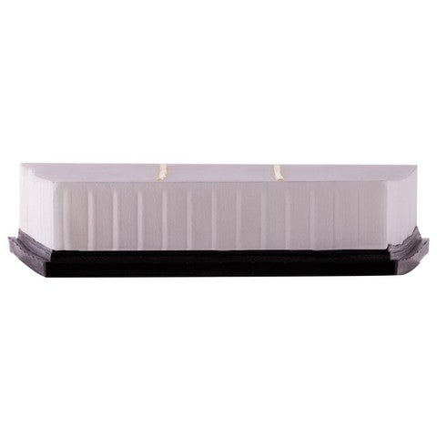 Engine Air Filter Premium Guard PA99483