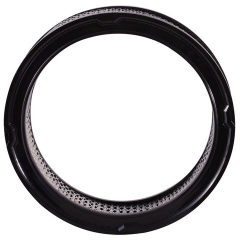 Engine Air Filter Premium Guard PA45
