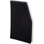 Engine Air Filter Premium Guard PA5437