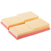 Engine Air Filter Premium Guard PA5443