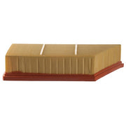 Engine Air Filter Premium Guard PA9941