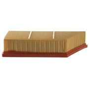 Engine Air Filter Premium Guard PA9941
