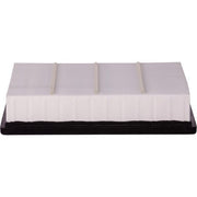 Engine Air Filter Premium Guard PA5512