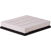 Engine Air Filter Premium Guard PA5512