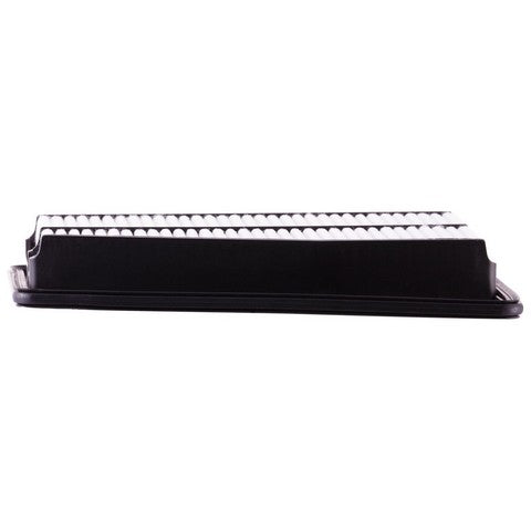 Engine Air Filter Premium Guard PA6055
