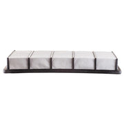 Engine Air Filter Premium Guard PA5557