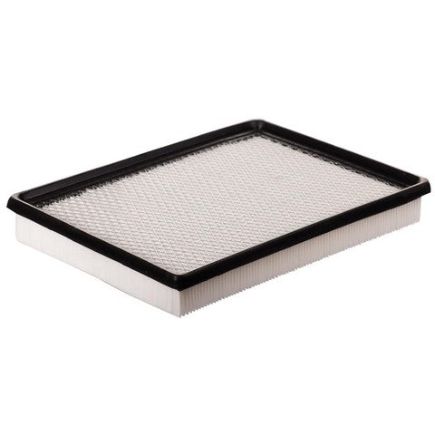 Engine Air Filter Premium Guard PA5560