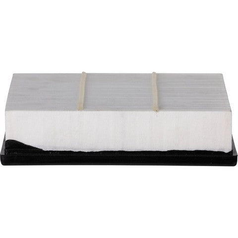 Engine Air Filter Premium Guard PA5603