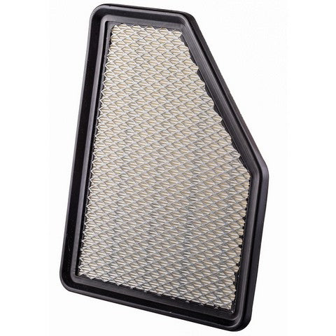 Engine Air Filter Premium Guard PA99180