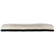 Engine Air Filter Premium Guard PA5596