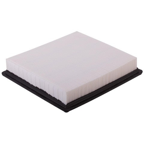Engine Air Filter Premium Guard PA5568