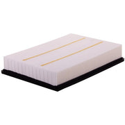 Engine Air Filter Premium Guard PA99208