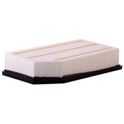 Engine Air Filter Premium Guard PA99455