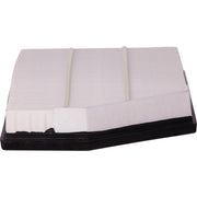 Engine Air Filter Premium Guard PA99604