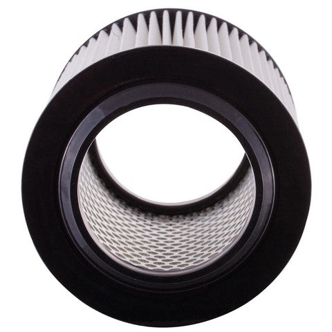 Engine Air Filter Premium Guard PA5456