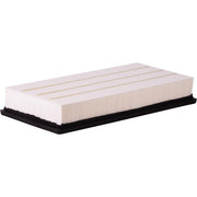Engine Air Filter Premium Guard PA5546