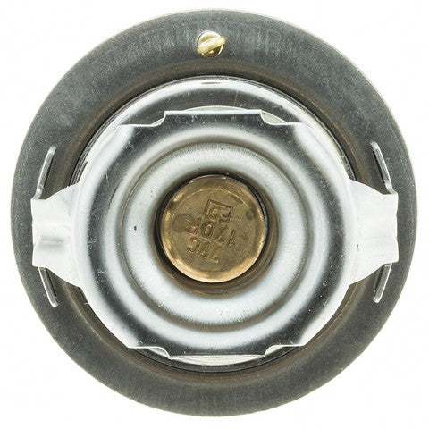 Engine Coolant Thermostat MotoRad 294-170