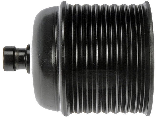 Vacuum Pump Pulley Dorman-OE Solutions 300-156